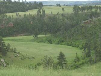 Black Hills Vall E Wallpaper