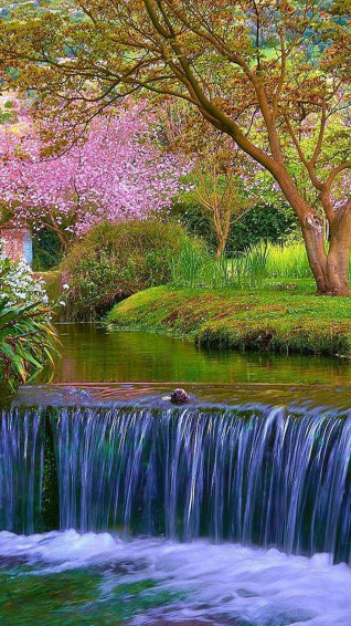 Spring Garden Waterfall Wallpaper Mobcup