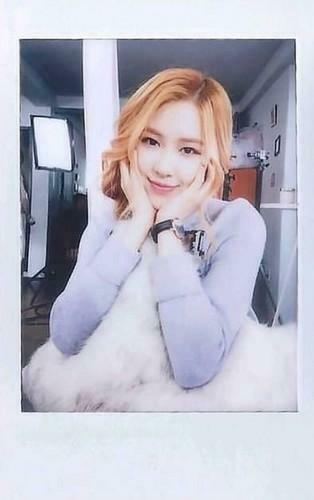 Rose Black Pink Sorgusuna Uygun Resimleri Bedava Indir