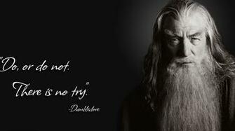 The Rings Yoda Ian Mckellen Dumbledore Knowledge Quotes HD Wallpaper