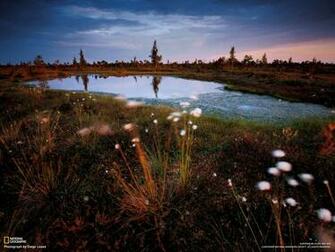 Desktop HD Wallpaper Beautiful Nat Geo