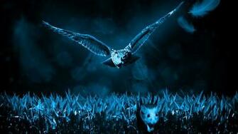 Hunter Bird Owl Predator Animal Mouse Wallpaper HD