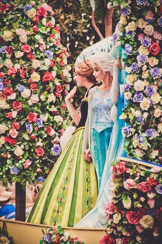 Princess Anna Image And Elsa HD Wallpaper Background Photos