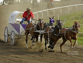 For Horse Racing Pictures