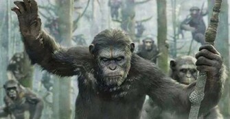 Dawn Of The Planet Apes Wallpaper Best Fan