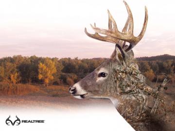 Realtree Buck Wallpaper Top Background