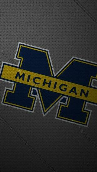 iPhone Wallpaper Leather Michigan