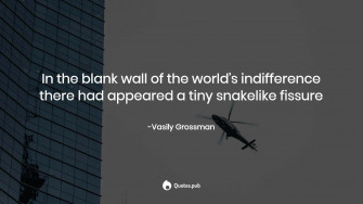 Embracing Apathy In An Indifferent World Wallpaper