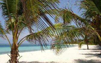 Venezuela Beach Wallpaper Photo Shared By Eba Fans Share Image