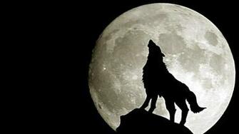 Wolf Full Moon Wallpaper 1080p Hiwallpaper Votes