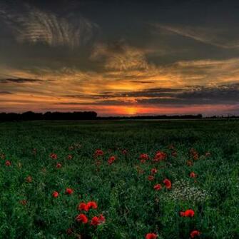 Your Romantic And Changing Wallpaper Show Click