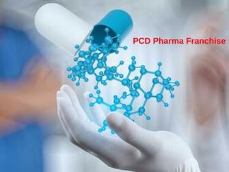 What Should Expect From Pcd Pharma Franchise Companies In India