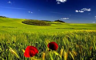 Nature Wallpaper Pack Csarchive Net