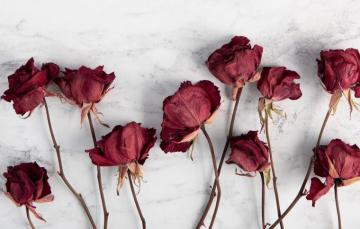Dry Flower Wallpaper On