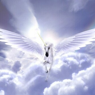 Pegasus iPad Background Best Wallpaper
