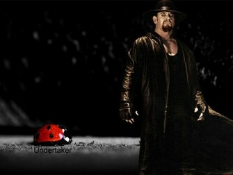 Wwe Undertaker Wallpaper Computer