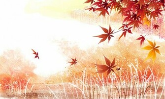 Maple Leaves Background Wallpaper
