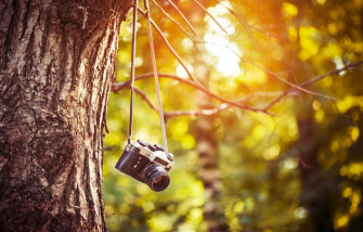 Dslr Background Wallpaper