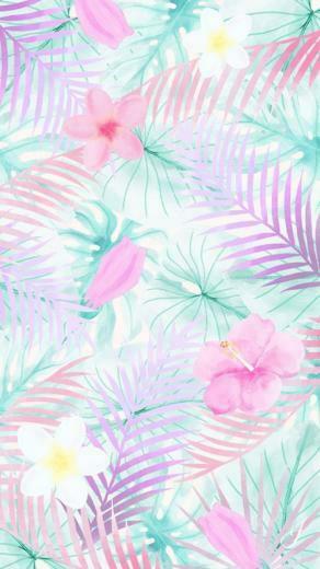 Wallpaper Inki Of Fund Funds Screen Great Pretty