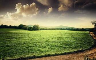 Wallpaper Farm HD Dreamy Theme Bin Custo