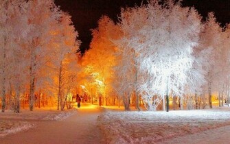 Winter Night Lighting Wallpaper
