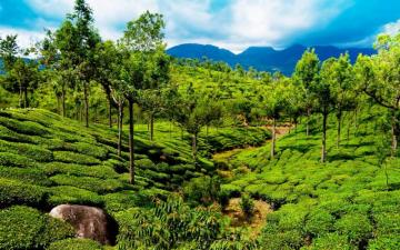 India Nature Wallpaper Background