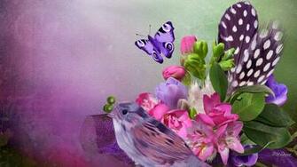 Bird Butterfly Blossoms Hq Wallpaper