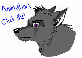 Crow Animation By Wolf Goddess13