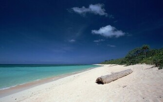 In Okinawa Wallpaper Top HD Desktop Background