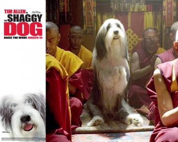 Wallpaper Shaggy Dad The Dog Film Movies