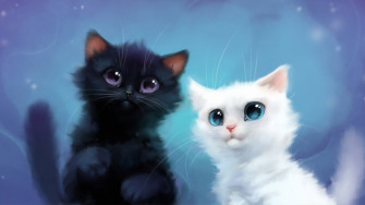 Two Kittens Laptop Full HD 1080p 4k Wallpaper Image
