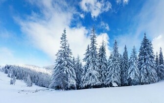 Desktop Background Winter Wallpaper Windows