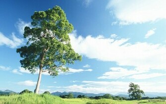 Relaxation Wallpaper No Desktop Wallcoo Net