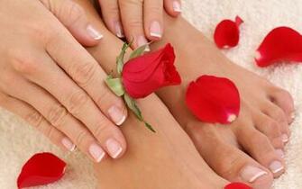 HD Wallpaper Womens Feet Red Rose Petals Background