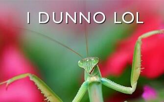 Beautifully Offensive Desktop Wallpaper