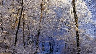Nashville Tennessee Wallpaper