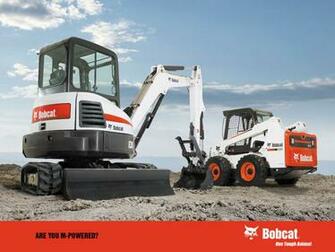Bobcat Wallpaper
