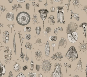 Super Giant Protozoa Beige Wallpaper Chantal Spoonflower