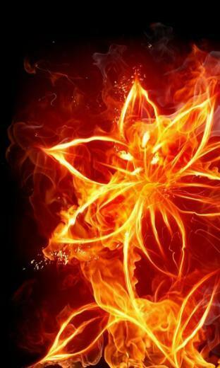 Fire Flower Wallpaper For Windows Phone Appsfuze