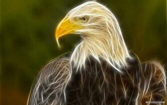 Art Wallpaper 3d Animal Index