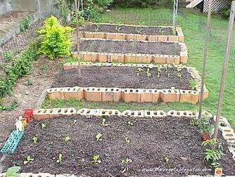Gardening The Vegetable Patch Wallpaper