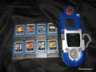Pet Megaman