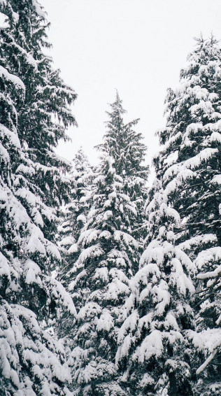 Winter Snow Aesthetic Christmas Phone