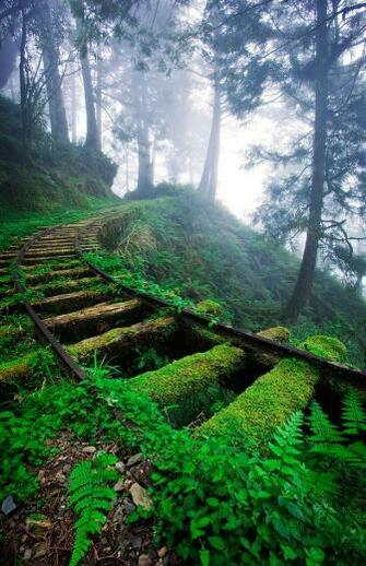The Wish For A Clear Day By Tien Chien Chen Earth Shots