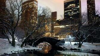 Winter Central Park Nyc Image Id Coffee Cigarettes