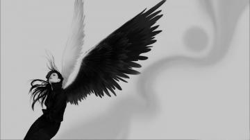 Anime Angel Wings HD Image Net
