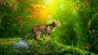 3d Animated Wallpaper