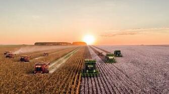 Agriculture Pictures Image