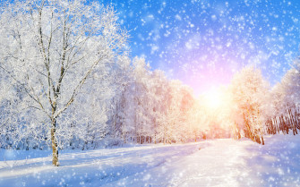 Nature Winter 8k Ultra HD Wallpaper