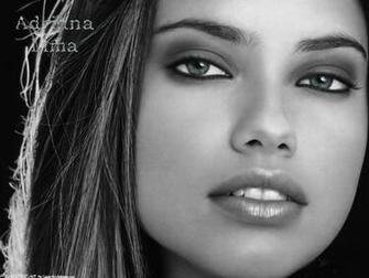 Lima Wallpaper Adriana